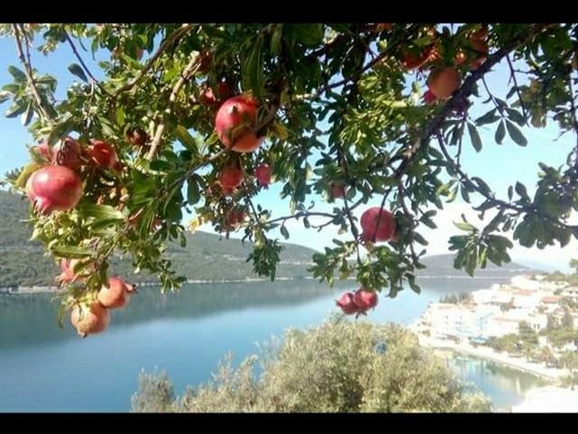 شقة فيرال نيوم المظهر الخارجي الصورة
